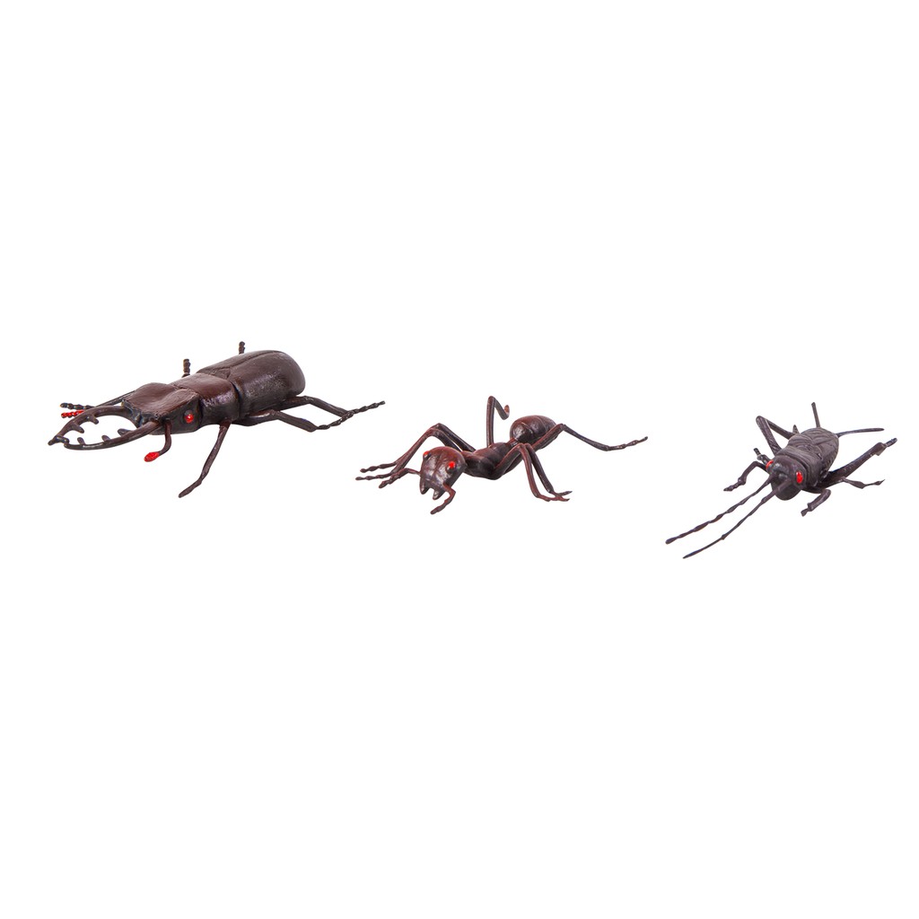 0207 แมลงจำลอง (ชุดเล็ก), ของเล่นเสริมพัฒนาการ, ของเล่นเด็กอนุบาล, สื่อการสอน