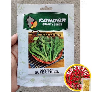 CONDOR SEEDS - MUSTARD SEEDS -  SUPER EDSEL 7 Grams园艺/芹菜/生菜/裙子/种子/鲜花/上衣/木瓜/母婴/头饰/ LCNA