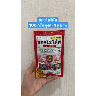 sjcactus ออสโมโค้ท บรรจุ 100 กรัม / ถุงละ35 บาท เก็บปลายทางได้