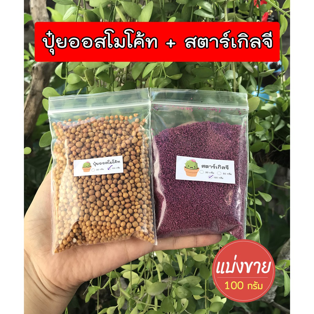 Local ฟาร์มสุข 🍂 ออสโมโค้ท (Osmocote) + สตาร์เกิล จี (Starkle G) 100 กรัม