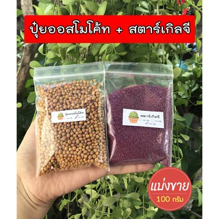 Local ฟาร์มสุข 🍂 ออสโมโค้ท (Osmocote) + สตาร์เกิล จี (Starkle G) 100 กรัม