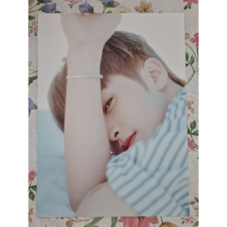 [แท้/แบ่งขาย] หน้​าโฟโต้บุ๊ค​ NCT Dream Dream a Dream Photo Book มาร์ค Mark