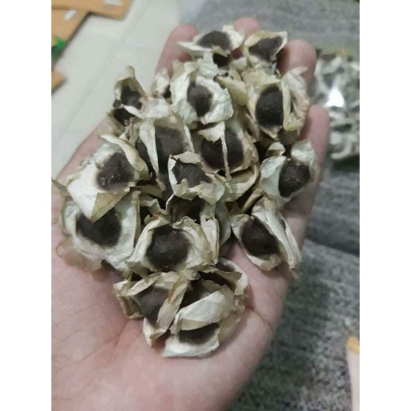 มะรุม​ยักษ์​ ขายเมล็ดพันธุ์1ชุด​50​บาท​บรรจุ​100เมล็ด​น้ำหนัก​30​กรัม - รูปที่ 7