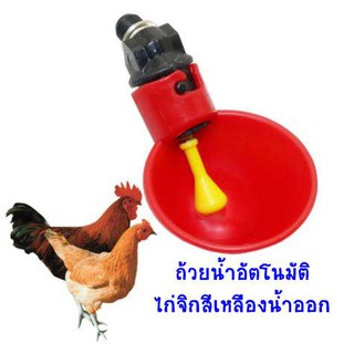 ถ้วยให้น้ำอัตโนมัติ/ไก่จิกสีเหลืองน้ำออก/ประหยัดเวลาให้น้ำ