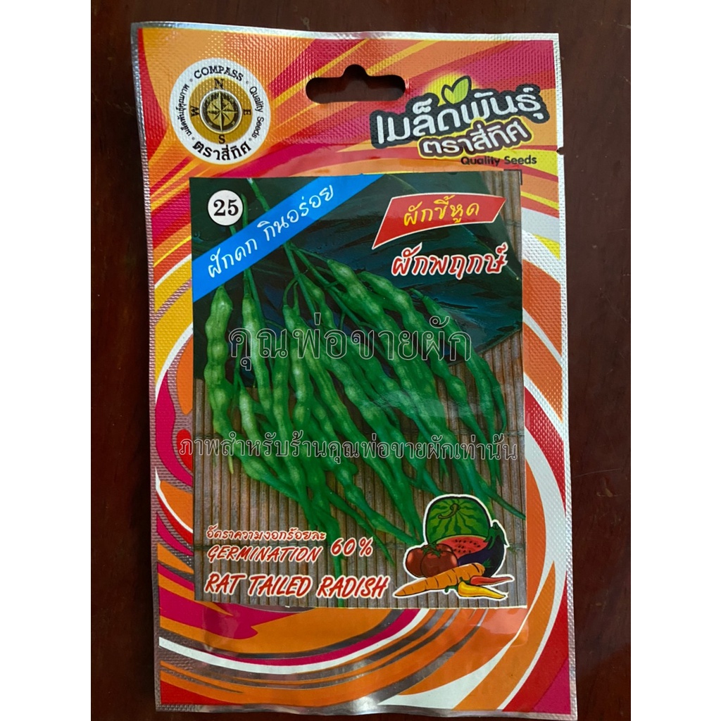 เมล็ดผักขี้หูด ผักพฤกษ์ 10 แถม 1 ผักขี้หูด rat tailed radish เมล็ดพันธุ์ผัก ผักขี้หูด