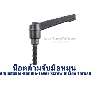 น็อตด้ามจับมือหมุน ขนาด 6x25 8x70 10x70 12x50 น็อตตัวผู้มีด้ามจับ Adjustable-Handle-Lever Screw