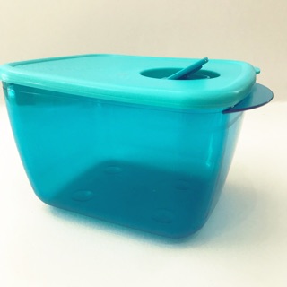 Tupperware. Rock N Serve Rectangular