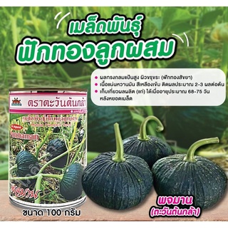 เมล็ดพันธุ์ฟักทองพจมาน (ตะวันต้นกล้า) ขนาด 100 กรัม