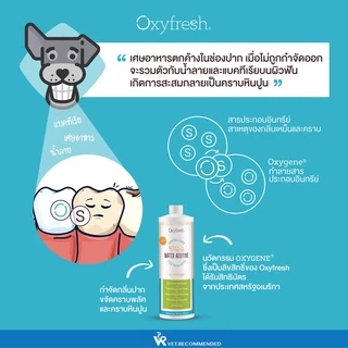 (ซื้อ Oxyfresh 888.- แถมแก้วน่ารัก) Oxyfresh Pet Dental Water Additive ผลิตภัณฑ์ผสมน้ำดื่มสำหรับสุนัขและแมว ลดกลิ่นปาก