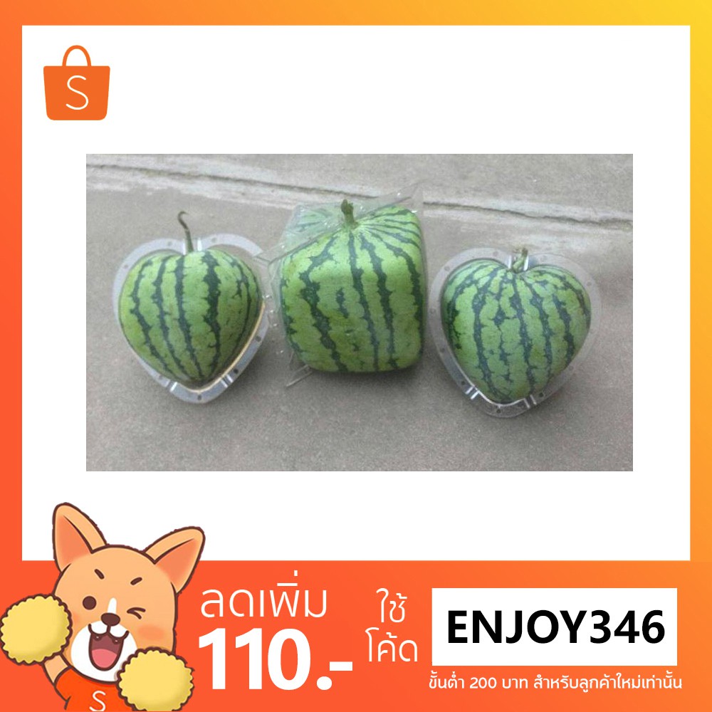 My Image 20