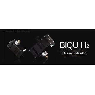 หัวพิมพ์ Direct Drive , Biqu H2