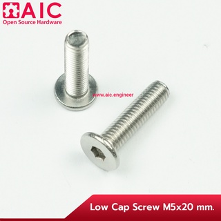 Low Cap Screw สแตนเลส M5,M8 ยาว 8-25มม. น็อตหัวแบน สกรูหัวแบน @ AIC