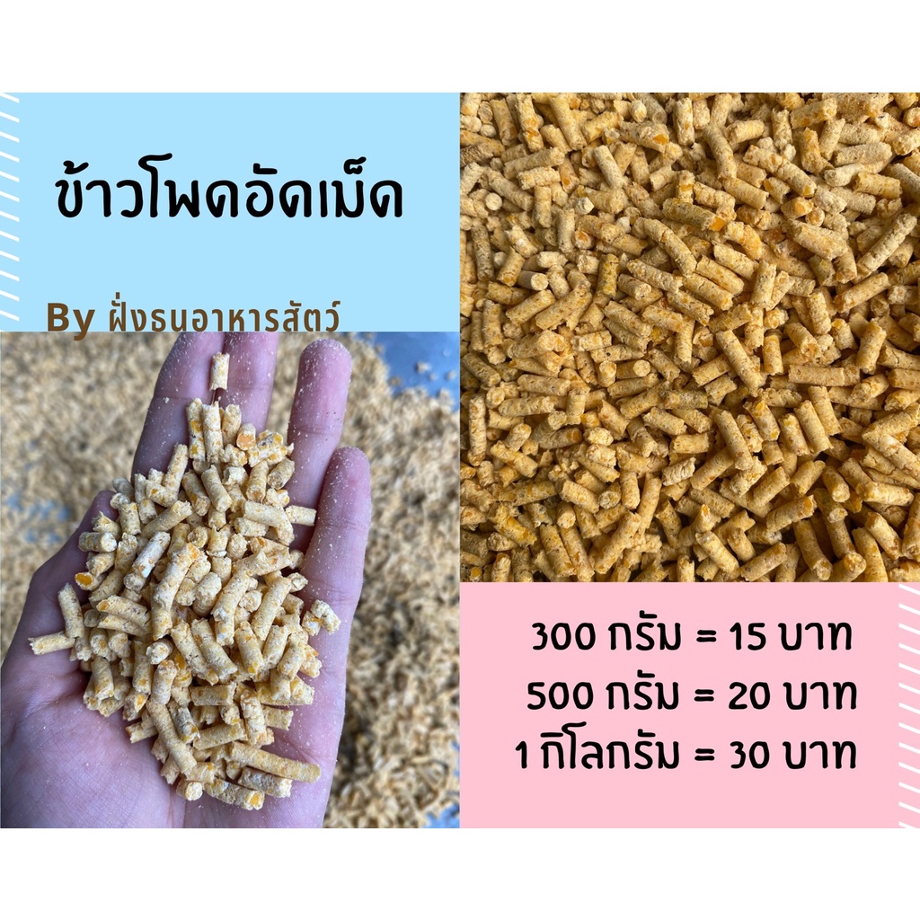 #อาหารสัตว์ #ข้าวโพด #ธัญพืช #อาหารนก #อาหารไก่