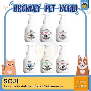 SOJI โฟมอาบแห้ง สเปรย์อาบน้ำแห้ง ไม่ต้องล้างออก  250 ML