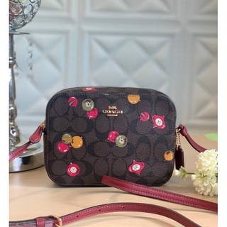 Style No:  COACH C6904  Size: 8" (L) x 4 3/4" (H) x 1 1/2" (W)