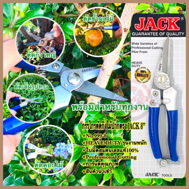 🇹🇭 กรรไกรตัดกิ่งไม้ปากตรง 8” JACK แท้100% ใบมีดสแตนเลส ตัดขั้วผลไม้ ตัดเล็มกิ่ง ตัดช่อดอกไม้ ตัดพืชผลผลิตเกษตร  ✳️