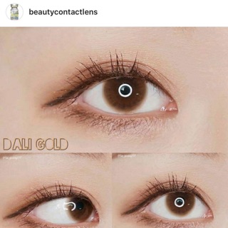 Dali gold (Beautycontactlens)