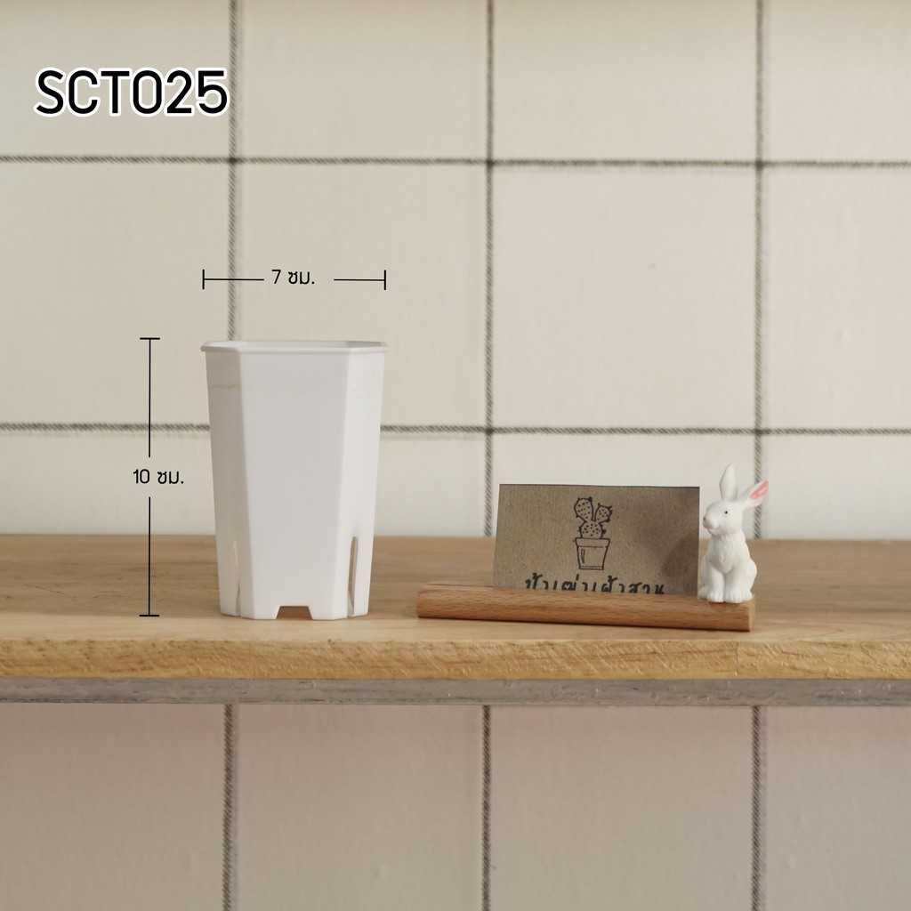 SCT025 กระถางสี่เหลี่ยมตัดมุมทรงสูง ขนาดปากกว้าง 7 x  10 ซม. กระถางแคคตัส กระถางกระบองเพชร
