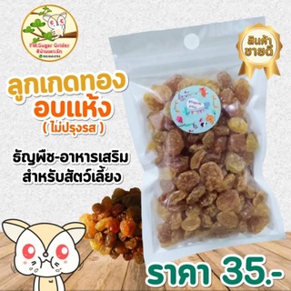 อาหาร-เสริม สัตว์เลี้ยงฟันแทะ ลูกเกดทอง (ไม่ปรุงรส)