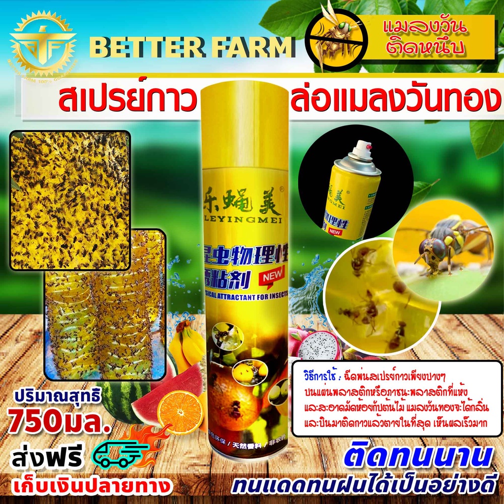 สเปรย์กาว กำจัดแมลงวันทอง มีหลายตัวเลือก