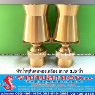 หัวน้ำพุ ต้นสนทองเหลือง ขนาด 1.5 นิ้ว