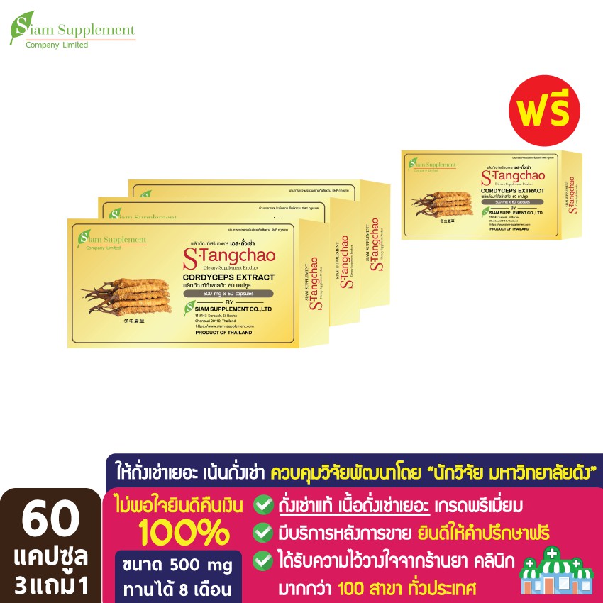 Colpermin - (100 แคปซูล กล่องใหญ่ 10 แผง) บรรเทาอาการลำไส้แปรปรวน IBS ...