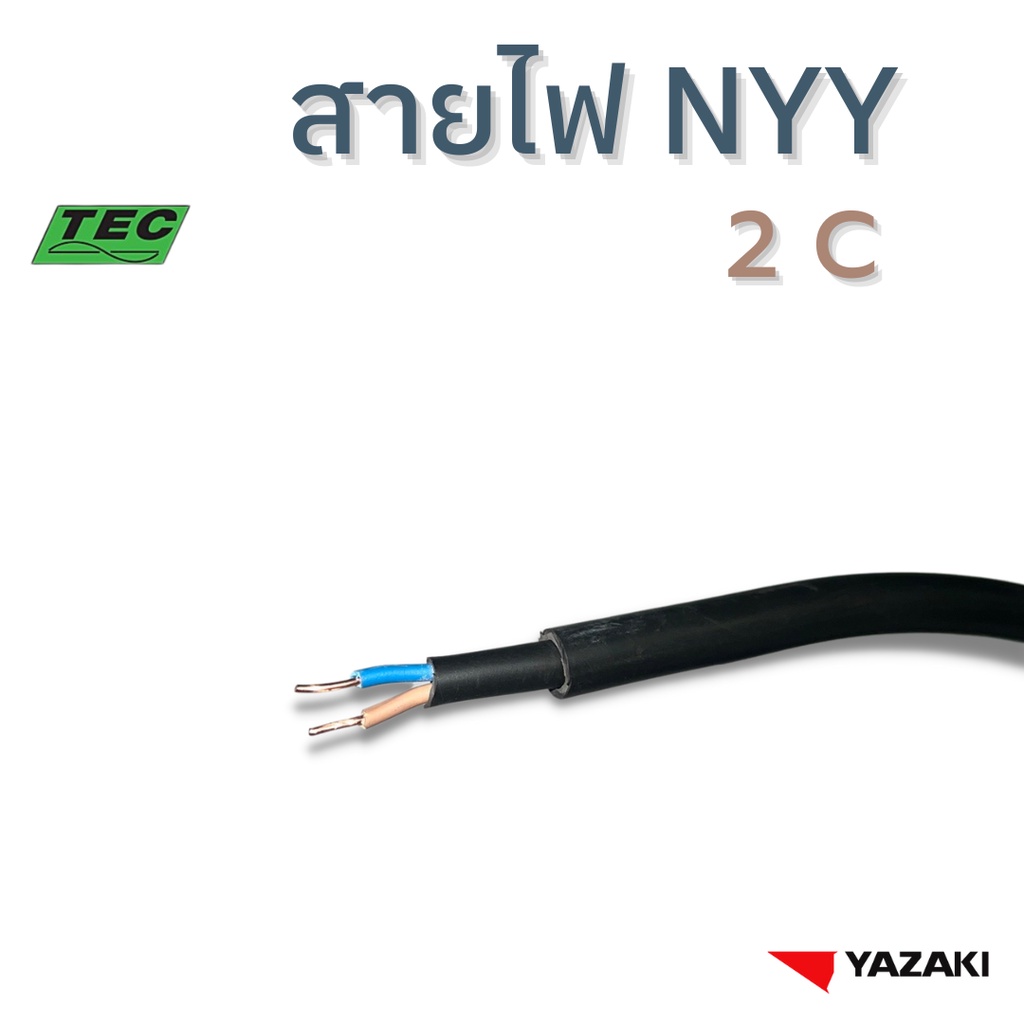 Yazaki สายไฟ Nyy 2Core 1.5,2.5,4 Sqmm. (แบ่งตัด 10M/หน่วย) 450/750 V 70ºc  Solid And Stranded Conductor Pvc Insulated | Shopee Thailand