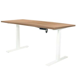 Desk STANDING DESK ERGOTREND SIT 2 STAND GEN2 180CM VINTAGE OAK/WHITE Office furniture Home &amp; Furniture โต๊ะทำงาน โต๊ะทำ