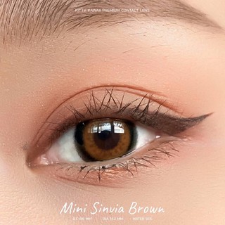 Mini Sinvia brown พร้อมส่งค่าสายตา (kittykawaii)