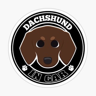 สติ๊กเกอร์ติดรถ แต่งรถ สติ๊กเกอร์ แม่เหล็กติดรถยนตร์ สติ๊กเกอร์หมา Dachshund in Car  - DGC9