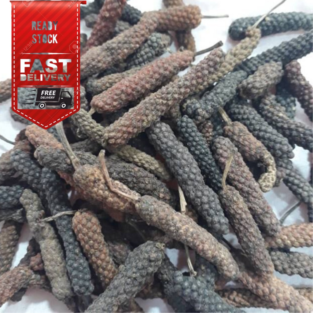 JAVANESE CHILI | JAVANESE CHILI | แคลิฟอร์เนียผลไม้ | PIPER RETROFRACTUM VAHL | JAVANESE CHILI