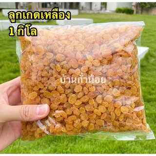 ลูกเกดเหลืองพร้อมทาน 1กิโล ปลีก-ส่ง เกดดA เม็ดนำเข้า (Golden Raisins)