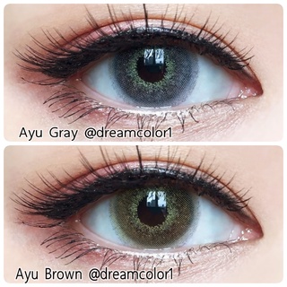 คอนแทคเลนส์ Dreamcolor1 รุ่น Ayu สี Gray เลนส์รายเดือน ขนาด 14.5 mm กันรังสียูวี มีค่าสายตา (0.00-10.00)