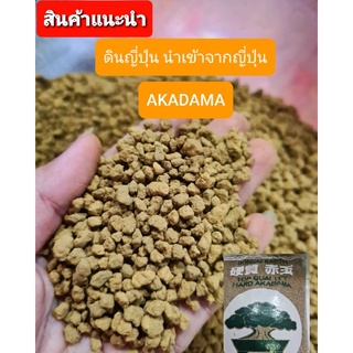 ดินญี่ปุ่น AKADAMA✅ 500 กรัม  MOB อาคาดามะ ดินญี่ปุ่น ขนาดเม็ด m ดินปลูกแคคตัส บอนไซ กระบองเพชร ไม้อวบน้ำ