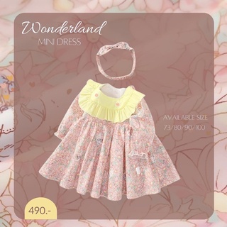 Wonderland Mini Dress