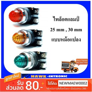 ไพล็อตแลมป์ แบบหม้อแปลง 25 mm , 30 mm [พร้อมส่ง]