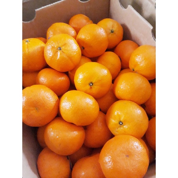 ส้มใต้หวัน 🍊1 kg.🍊ไซร์ L,XL หวาน หอม อร่อย แช่เย็นชื่นใจ🍊🍊 สั่งเลย✔✔ - รูปที่ 4
