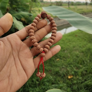 Rudraksha mukhi 6 plus พระพิฆเนศ