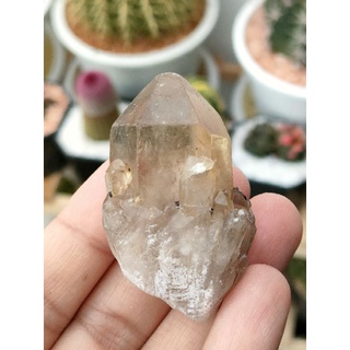 🤎 สโมคกี้ควอตซ์ ผลึก ( Smoky Quartz ) ~~~~~✨🌼~~~🌟🌿~~~~~แท่งผลึกขนาดเล็กเนื้อใสสีน้ำตาลอ่อนๆมาจากแหล่ง 🌿