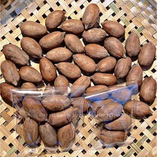 พีแคนนัทดิบ เนื้อเยอะ อาหารกระรอก ชูก้า หนูแฮมเตอร์ นก ชินชิ…