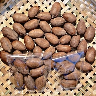 พีแคนนัทดิบ เนื้อเยอะ อาหารกระรอก ชูก้า หนูแฮมเตอร์ นก ชินชิล่า แพรี่ด็อก สัตว์เลี้ยงที่กินธัญพืชได้ทุกชนิด