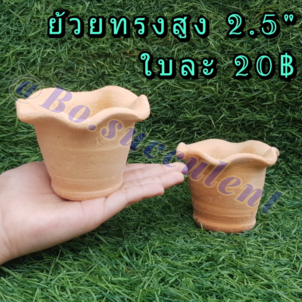 กระถางดินเผา ย้วย 2.5นิ้ว ไม้อวบน้ำแคคตัส ปลูกฮาโวเทีย  ใส่ต้นไม้จิ๋วเล็ก เครื่องปั้นดินเผา ของแต่งบ้าน จัดสวน