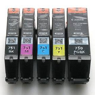 Canon PGI-750-751 bk ,C,M,Y, ของแท้100% ยกชุด5ตลับ(NO BOX)