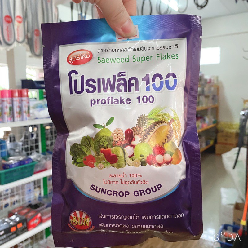 สาหร่ายทะเลสกัดเข้มข้น 100g. ละลายน้ำ 100% ฟื้นต้นโทรม ไม่มีกาก เร่งเจริญเติบโต บำรุงพืช
