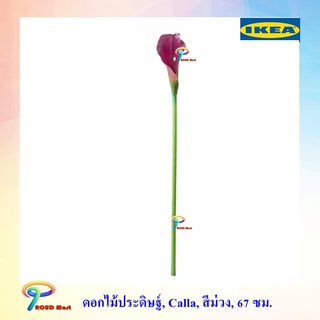 IKEA ต้นไม้ปลอม ไม้ประดิษฐ์ FEJKA เฟคก้า SMYCKA สมึคก้า ดอกไม้ประดิษฐ์, Calla, สีม่วง, 67 ซม.