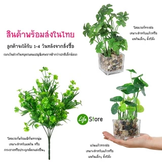 ต้นโคลเวอร์ /แว่นแก้ว(ใบบัวบก) ต้นไม้ประดิษฐ์ สวยงามเสมือนจริง (พร้อมส่งในไทย ถึงเร็วทันใจ)