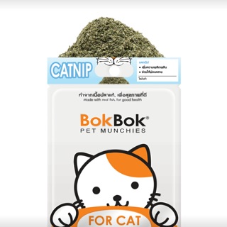 BokBok catnip หญ้าแคทนิป