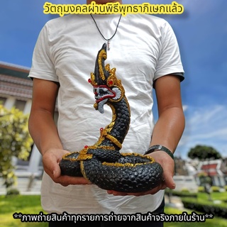 พญานาคราช ตระกูลสีดำ กัณหาโคตมะ 25ซม.ทรงเลข8 เข้าพิธีนาคาภิเษกที่วัดป่าศรีสุทโธคําชะโนด สามารถวางอ่างบัวได้