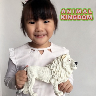 Animal Kingdom - โมเดลสัตว์ พ่อสิงโต เผือก ขนาด 23.00 CM (จากหาดใหญ่)