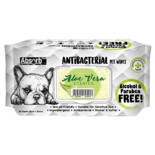 Absorb antibacterail wipes Aloe Vera scented ทิชชูเปียกสูตรป้องกันแบคทีเรียกลิ่นว่านหางจระเข้